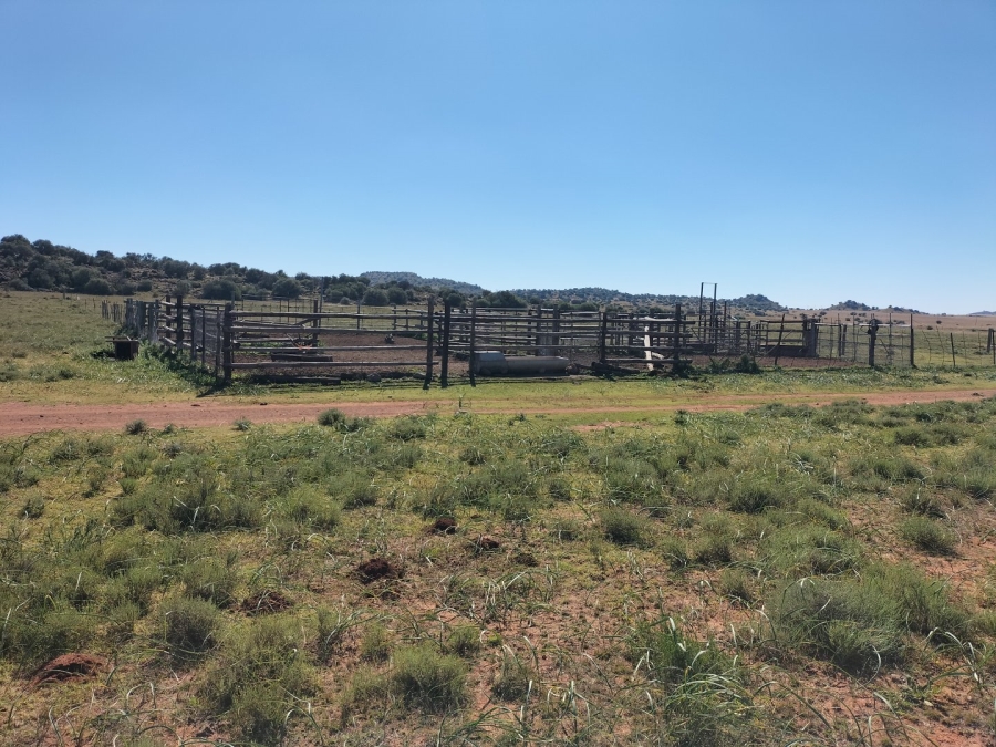 4 Bedroom Property for Sale in Bloemfontein Rural Free State